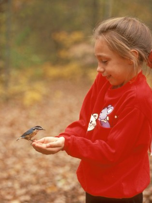 Girl with Black-Capped Chickadee in Hand