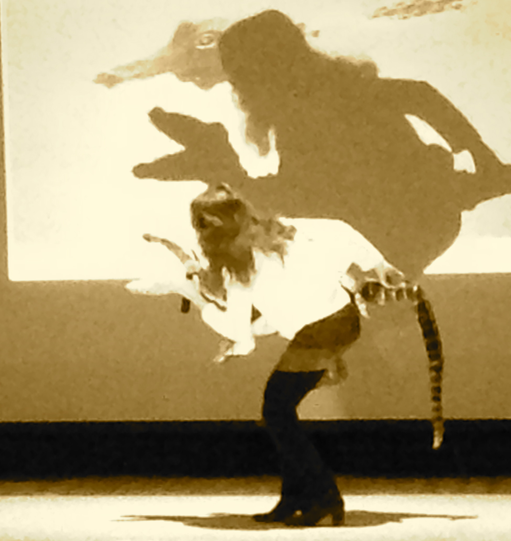 Author_visit_program_school_Mass_nonfiction_165