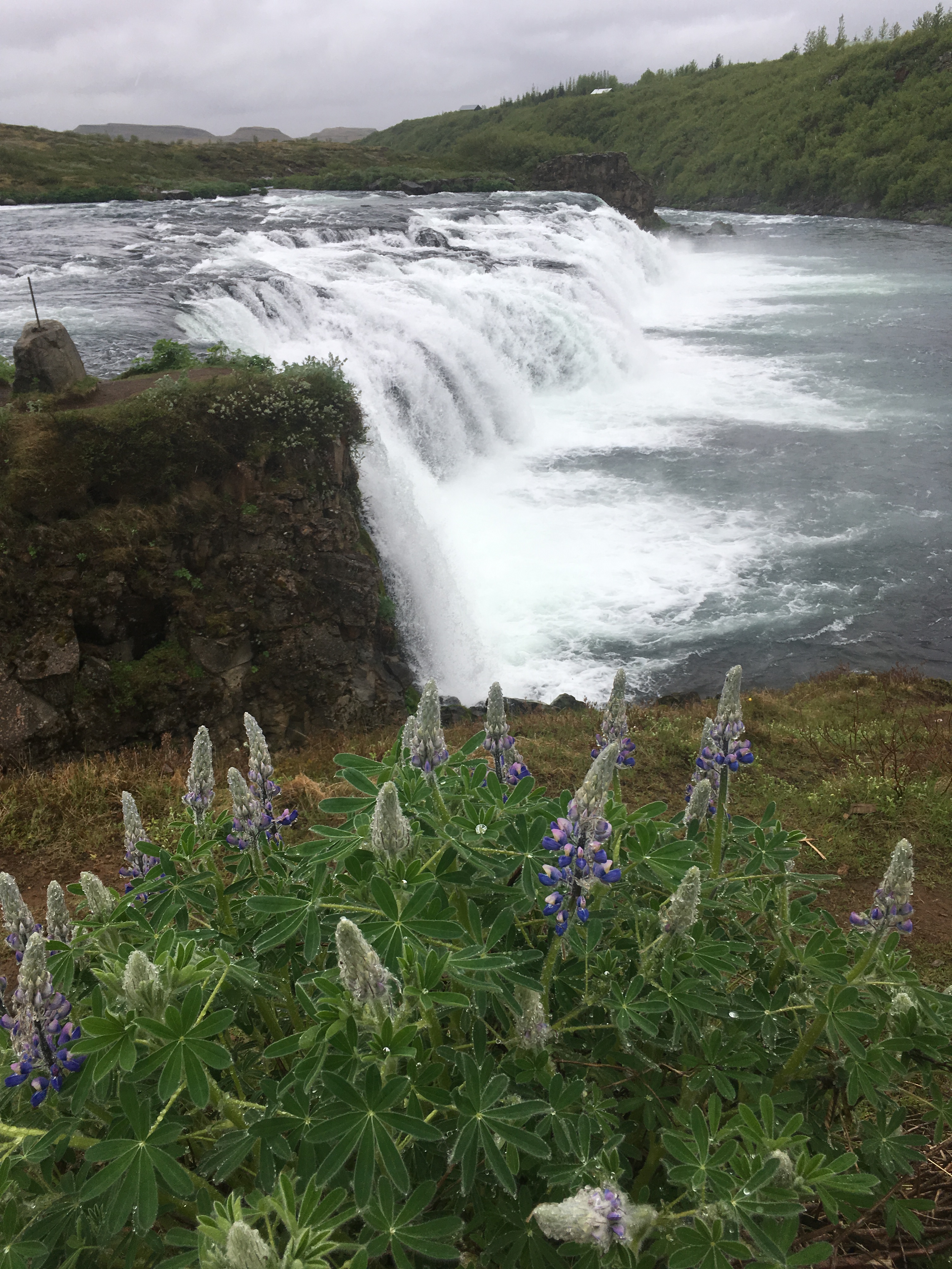 Author_visit_program_school_Mass_nonfiction_180