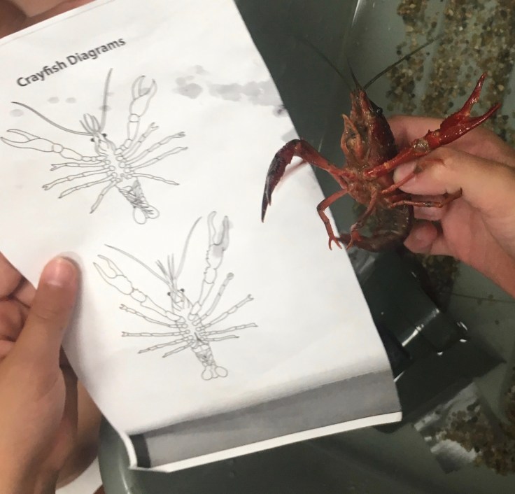 Author_visit_program_school_Mass_nonfiction_204