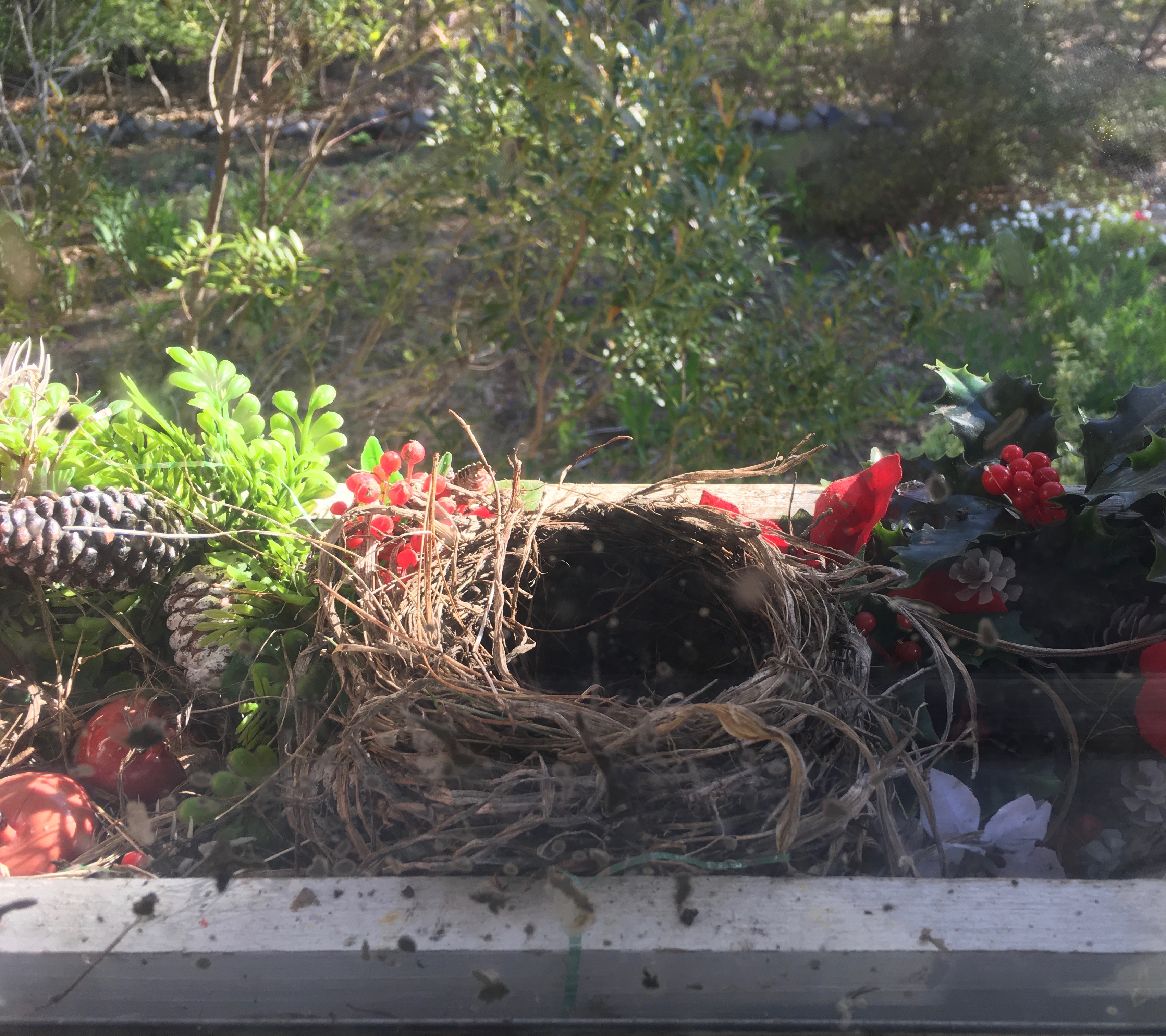 Author_visit_program_school_Mass_nonfiction_226